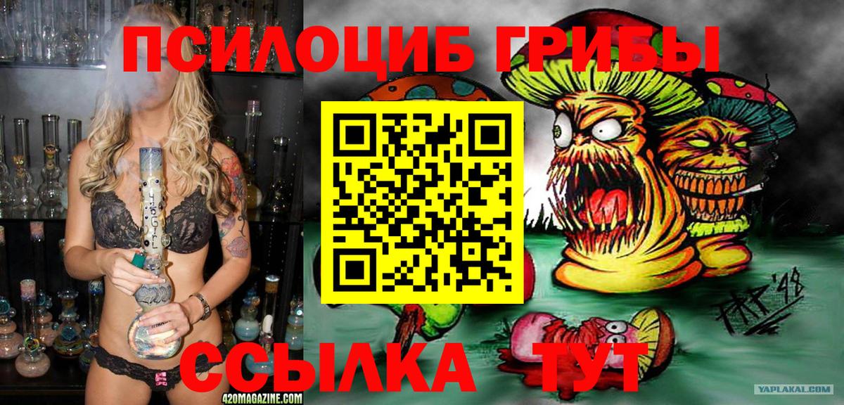 Псилоцибиновые грибы MAGIC MUSHROOMS Кингисепп